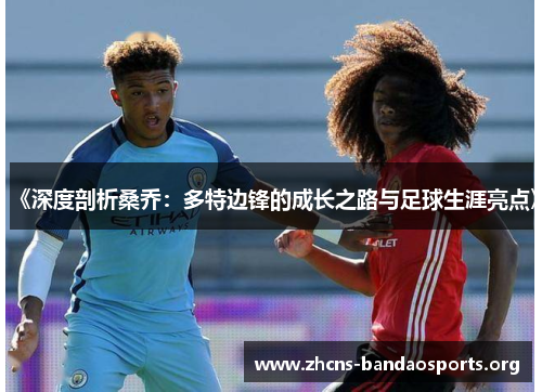 《深度剖析桑乔：多特边锋的成长之路与足球生涯亮点》